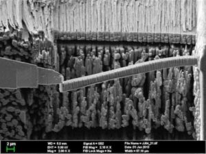 1212ctt SEM bending experiment lo res