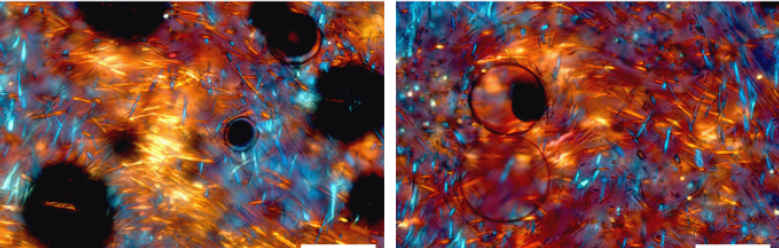 Zanotto Crystallization of glass image